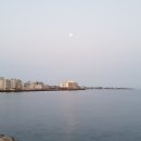 탑동 테마거리 이미지