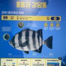 바닷가 민박 | 울진 바닷가 초신상 가성비 포도나무 민박
