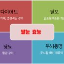 쌀눈김밥