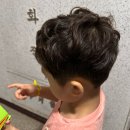 에이보프렙학원 | 분당 정자동 하원 후 5세 파마 후기 / 펌 소요시간 / 5만원의 행복