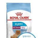 로얄퍼피 이미지