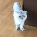 이모 투표 잘 하지..?