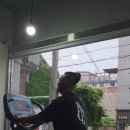 피티