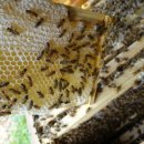 시몬농장 이미지