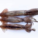 여름 보양식 (7월) 이미지