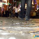 명동길 이미지