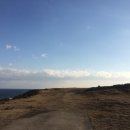 둥둥목장 이미지