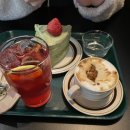 율목애견 이미지