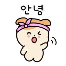 오늘;우리사진관신촌 이미지