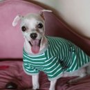 현동물병원 이미지