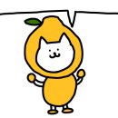 삼부스포렉스 이미지