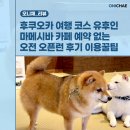 쿨한강아지 | 후쿠오카 여행 코스 유후인 마메시바 카페 예약 없는 오전 오픈런 후기 위치 요금 이용꿀팁