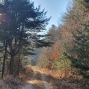 경기둘레길 양평28코스 이미지