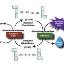 함안약국 이미지