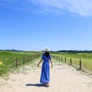 사구센터 전시실 | 여름 충남 태안 실내 가볼만한 곳 아이와 신두리사구센터 신두리 해안사구 여행