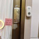 대림프라자 | 구로동 구로구청 [디온뷰티] 바짝 탱글 속눈썹펌 후기