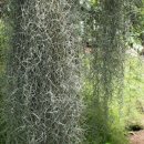 솔향수목원(전시온실) 이미지