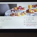 청송디자인 | 소노벨 청송 조식뷔페 후기｜아이와 함께라 더 좋았던 수달래 조식, 겨울여행 아침