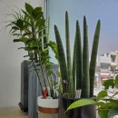 지니스안경(대전 충남대점) 이미지