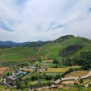 동해종합시장 이미지