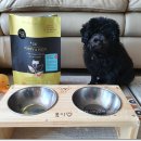 퍼피앤맘 이미지