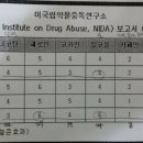 950043 이미지