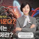 암을 굶겨 죽이는 혈관 신생 억제제, 왜 내성이 생길까요? 최신 암치료 트랜드 알아보기 이미지