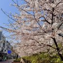 충무로20번길 | 수습 감정평가사 출근 후기 (3달)