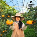 제주브릭스 이미지