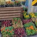 바르게살기공원 앞 이미지