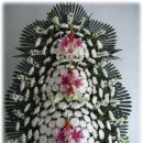 역촌-010 이미지