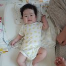 [맘스다이어리] 유니클로코튼메쉬 바디수트 후기 이벤트
