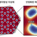 솔리톤 이미지