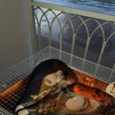 지에스25태안모항항점 이미지