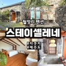 제주숙소스테이셀레네 | 월정리 자쿠지 펜션 스테이셀레네 B 제주 동쪽 숙소