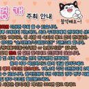 선희포차 이미지