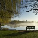 Reminiscence 이미지