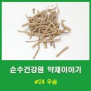 산지건강원 네이버블로그