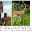 간신이란 누구를 말하는가 이미지