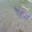 헤라낚시터 이미지