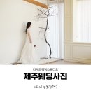 제주웨딩스튜디오 제주웨딩사진 동행 후기 &#39;다게르스튜디오&#39;