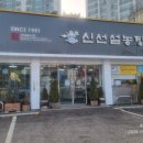 신선설농탕 김포점 | ​[김포 맛집] 늦은 점심, 허기진 배를 꽉 채워준 든든한 보약! 김치 3종류 주는 '신선설농탕'