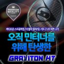 그라비 Daum카페