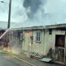 연기동물병원 이미지