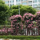 정관 구목정공원 이미지