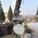 서진목장 | 청주 근교 아이랑 가볼만한곳! 증평 벨포레 목장!양몰이 공연시간 벨포레 후기