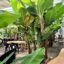 덕기농장 이미지