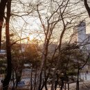 산빛 근린공원 티스토리