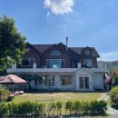 키즈풀숲 이미지