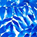 영플렉스 이미지